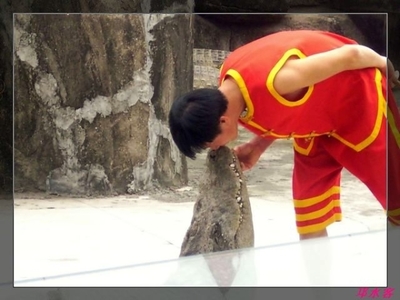 馬戲表演_馬戲團表演_馬戲演出_宿州市宿馬園區蒿溝歡樂馴獸表演團 - 商國互聯網