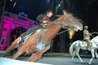 藝海馬戲團主營:廣州雜技表演,廣州馬戲表演,廣州動物表演,廣州馴獸表演,廣州馬戲雜技,想看精彩的馬戲表演,就選藝海馬戲團,為您打造全新的、獨一無二的企業文化演出。等產品介紹_報價_批發_供應信息【第2頁】 - 安徽省宿州市埇橋區藝海馬戲團 - 嘻嘻哈哈分類信息