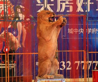 臨潁:五一小長假,這里人來人往,熱鬧非凡