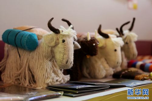 好物上新 青海玉樹70余種優質特色農畜產品齊聚西寧