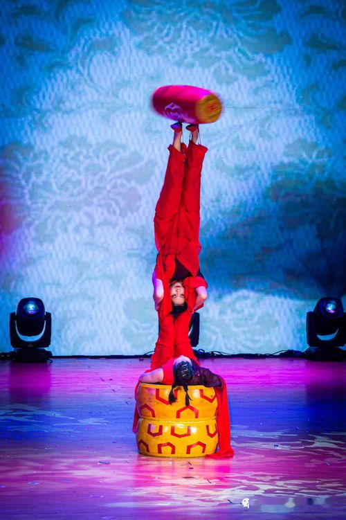 第三屆深圳國際魔術節開幕式暨深圳市雜技家協會精品匯報展演在深舉行