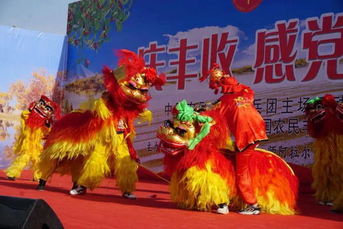 兵團熱土的豐收故事 未完待續