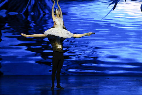 蘭州芭蕾舞團惠民演出 舞蹈精品晚會