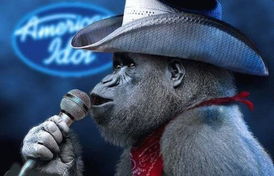 遼寧 小額公司挺進農村