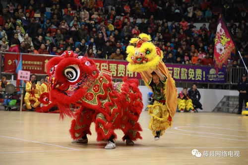 藤縣群獅賀新春高朋滿座