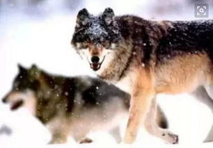 制度管人,流程管事,團隊打天下,管理定江山 好文 其它 網(wǎng)