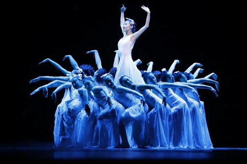 中國殘疾人藝術團“我的夢”公益演出攜手馴獸表演團溫暖吉安