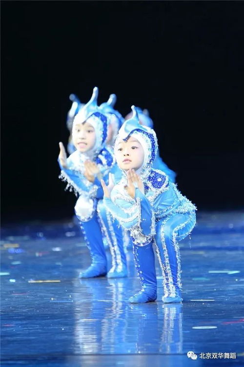 雛鷹展翅 二十載小荷風采，馴獸表演團的成長與綻放