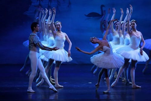 藝術盛宴即將揭幕 俄羅斯皇家芭蕾舞團《天鵝湖》南京巡演啟幕
