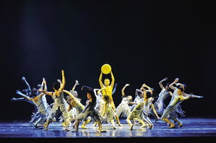 馴獸表演團閃耀邕城 歌舞飛揚的原創精品展演