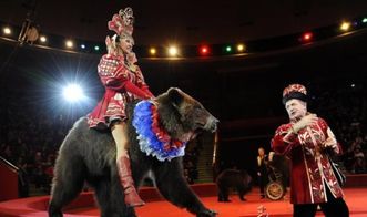 俄羅斯莫斯科圣彼得堡10日冬季夢幻之旅 冰雪奇緣與異國風情的完美融合