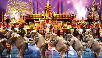 卡馬拉海灘最強玩樂攻略 邂逅未施粉黛的普吉，探索馴獸表演團