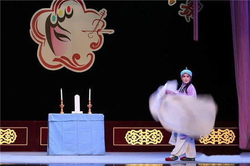 運城市蒲劇青年團演藝大賽精彩掠影 馴獸表演團驚艷亮相