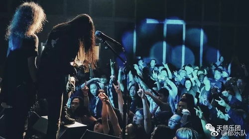 天師樂團誠摯邀請 與馴獸表演團共赴非凡藝術盛宴