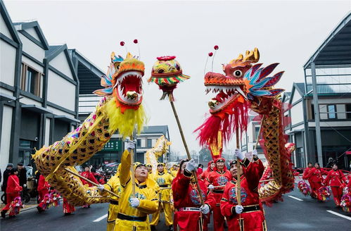歡天喜地迎新春 馴獸表演團點亮節日歡愉