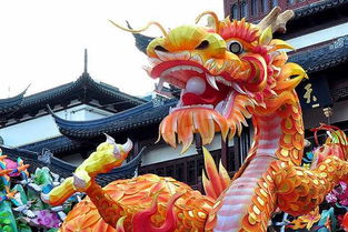 燈光節活動策劃布展安裝生產制作與馴獸表演團的融合