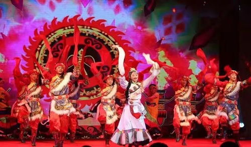 快樂飛翔 放飛夢想——云之南少兒藝術(shù)團(tuán)馴獸表演團(tuán)展演側(cè)記