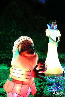 親子游好去處 武進(jìn)淹城動(dòng)物園貼心服務(wù)與精彩巡演全紀(jì)錄